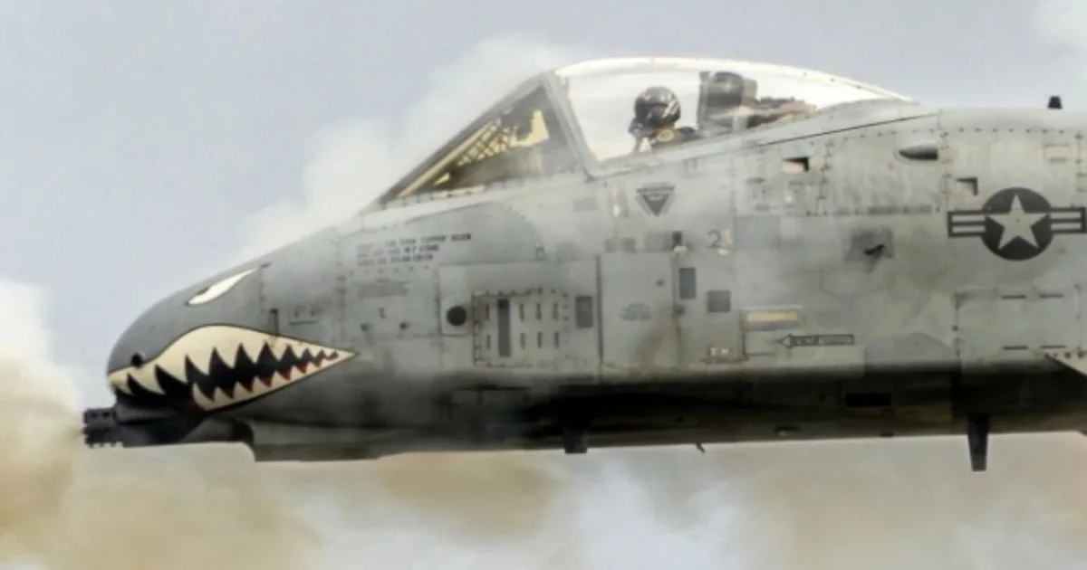 Reading an article file to craft a curiosity-driven, non-misleading clickbait title under the user's constraints. Running a parallel intent report and file view.

A quiet neighborhood discovery that forced me to rethink everything