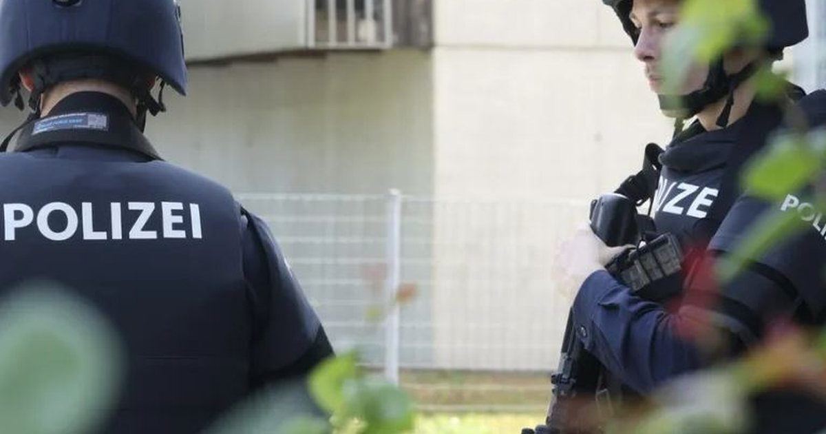 Reading the article file to craft a curiosity-driven but accurate clickbait title (helps tailor wording to content). Running a file read and reporting intent together.

Çfarë zbulova kur vura re ndryshimet e vogla në lagje