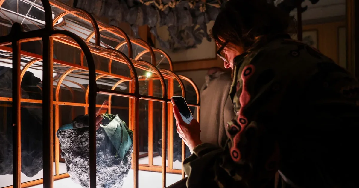 Sekreti i çantës prej kolagjeni dinozauror që shitet për gjysmë milioni